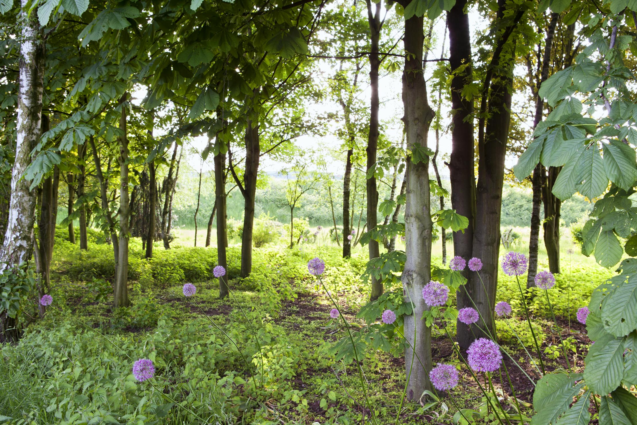 Landesgartenschau Oberhausen