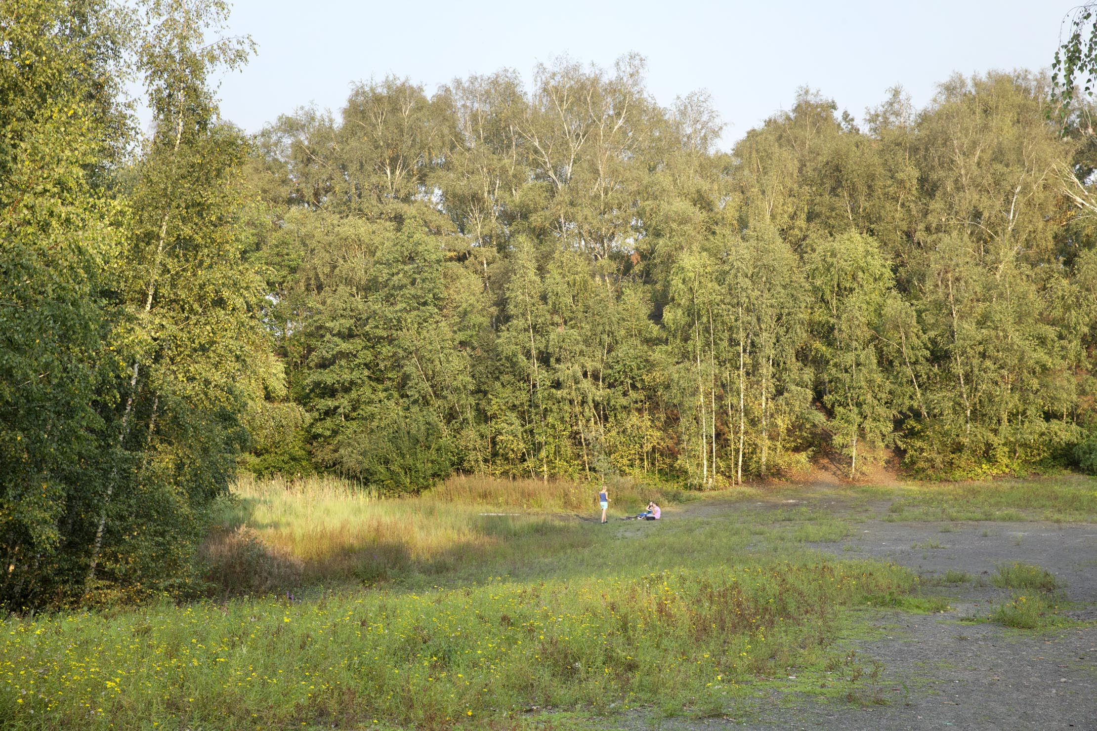 Zollverein Park (03) 