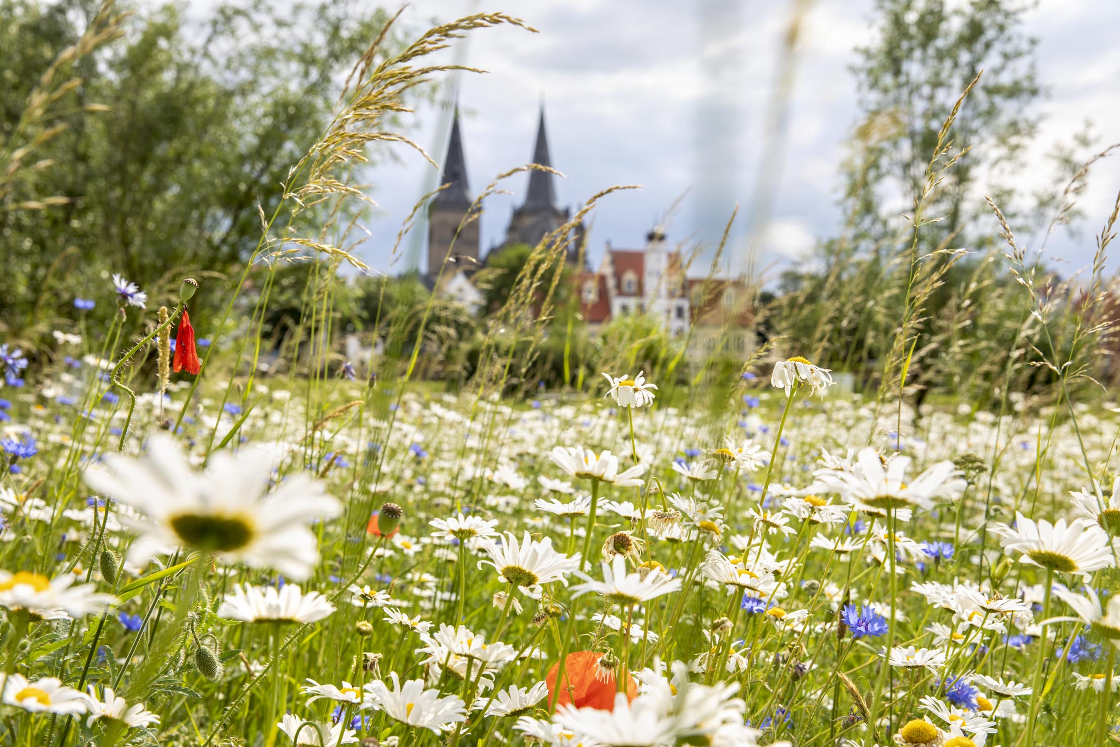 Kurpark Xanten